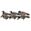 Avery GHG Pro Grade Canada Goose Silhouette Decoys-1 Doz-77004