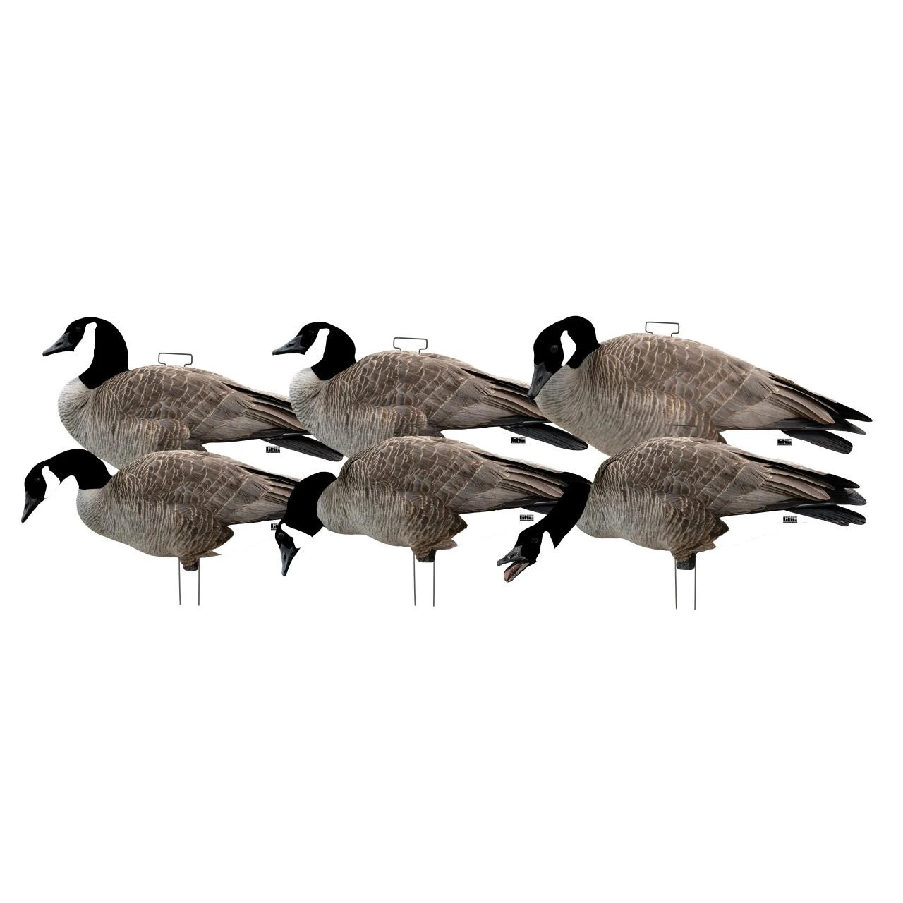 Avery GHG Pro Grade Canada Goose Silhouette Decoys-1 Doz-77004 1 Avery GHG Pro Grade Canada Goose Silhouette Decoys-1 Doz-77004