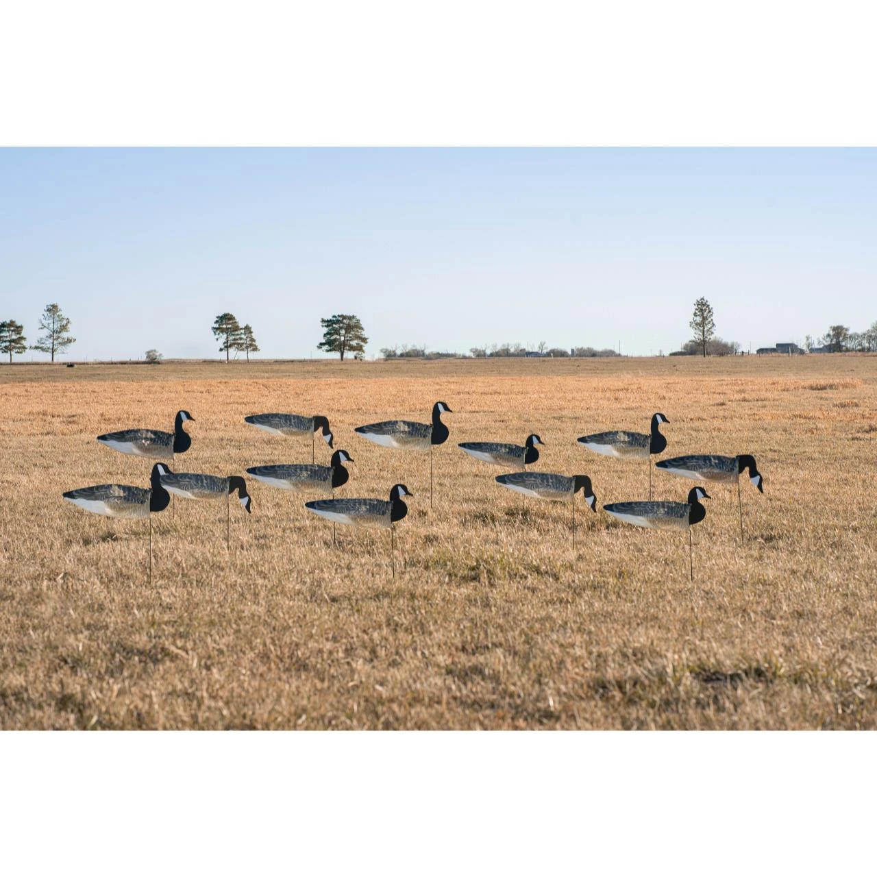 Avery GHG Pro Grade Canada Goose Windsock Decoys -1 Doz - 77504 1 Avery GHG Pro Grade Canada Goose Windsock Decoys -1 Doz - 77504