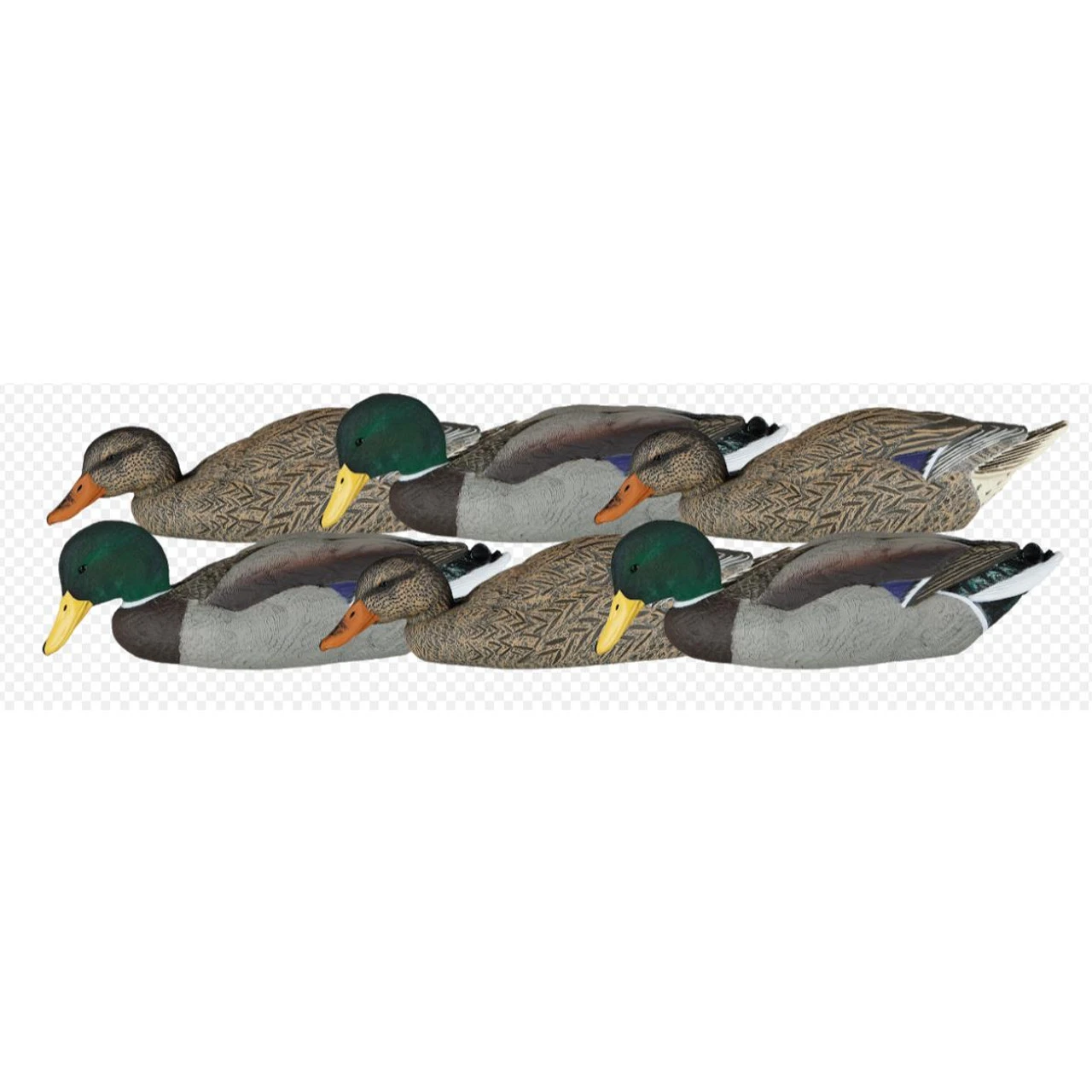 Dakota X-Treme Mallard Duck Floater Decoys - 6pk Feeder Pack- 12055 1 Dakota X-Treme Mallard Duck Floater Decoys - 6pk Feeder Pack- 12055