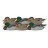 Dakota X-Treme Mallard Duck Floater Decoys - 6pk Rester Pack- 12065
