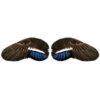 Higdon Wings For Spinning Wing Ducks - 90287
